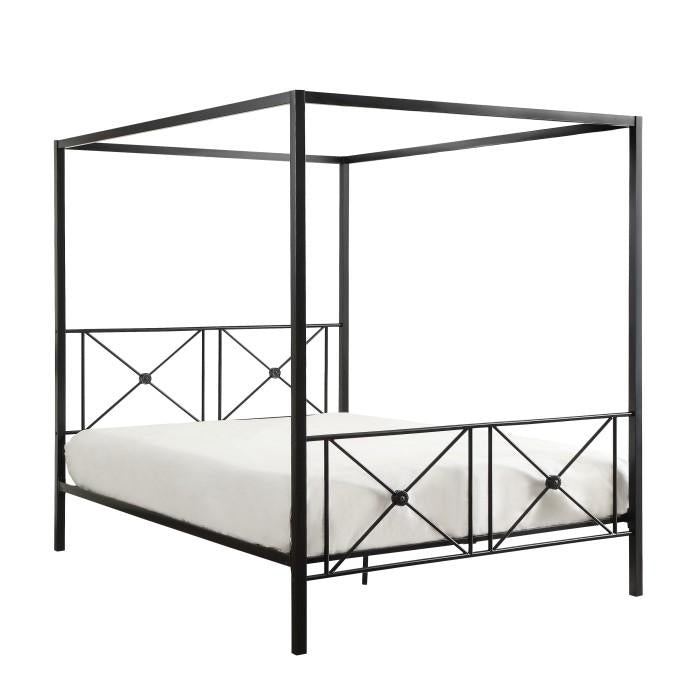 Rapa Queen Platform Bed