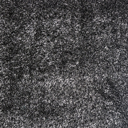 Annmarie Black 5' X 8' Area Rug image