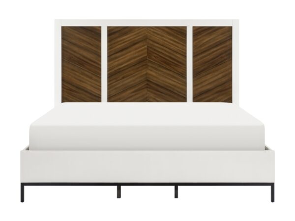 1456 1 ho nobg l 2.jpg