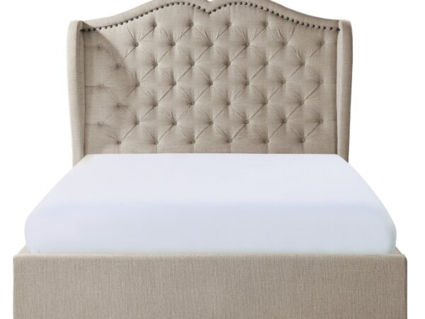 16391 nobg front l.jpg