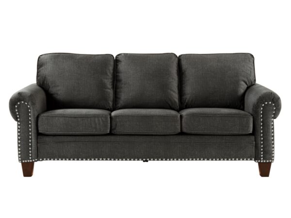 8216dg 3 wb fro l.jpg