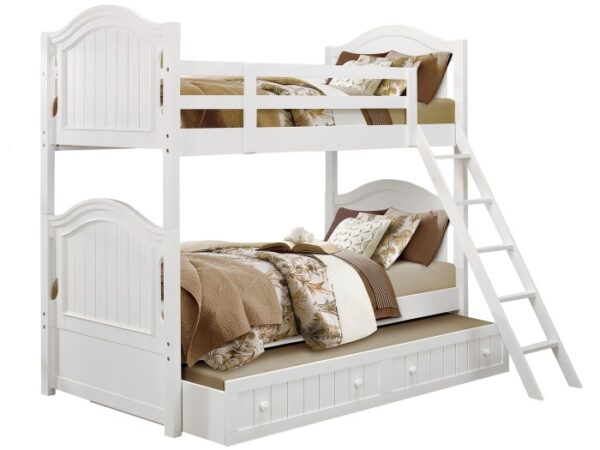 b17991 nobg20w20path l.jpg