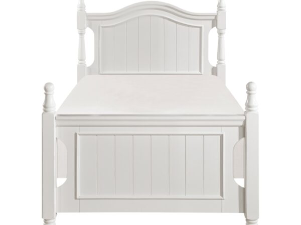 b1799t 1 nobg f l.jpg