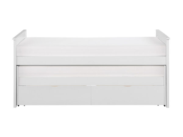 b2053rtw1t nobg front l.jpg