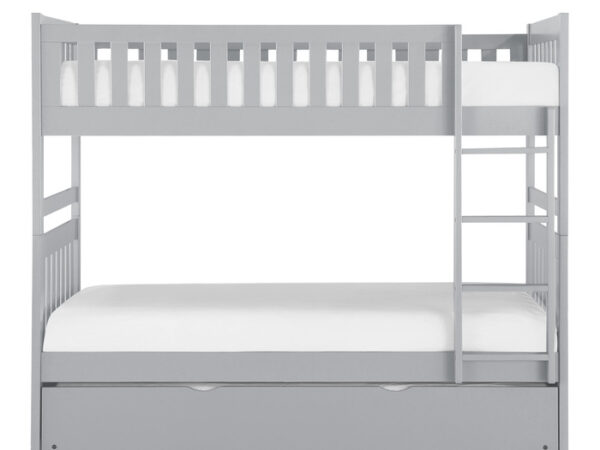 b20631r nobg front l.jpg