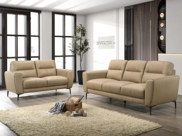 sofa and loveseat bundle
