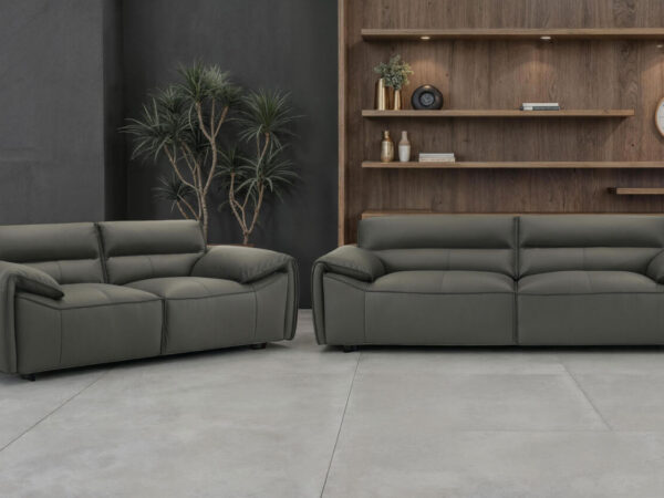 buxton 2 piece leather upholstered sofa set graphite